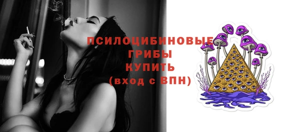 винт Абаза