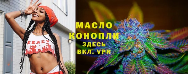 винт Абаза