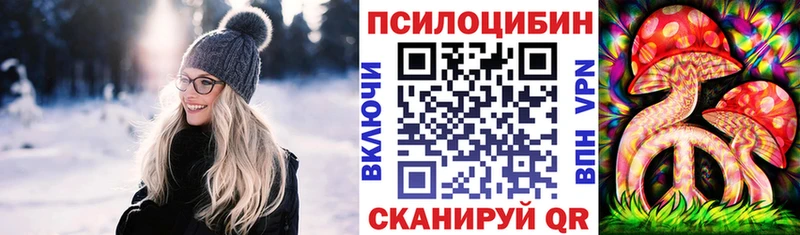 Галлюциногенные грибы Psilocybe  Зеленокумск 